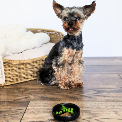 Delightful Dog Bowl (Set of Three)