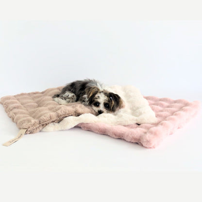 Cozy Comforter Doggie Blanket