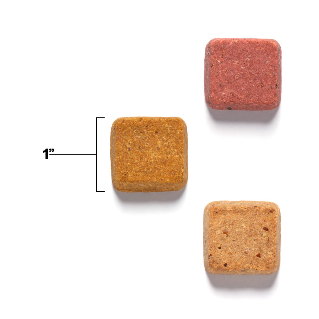 3 Pack - Superfood Dog Treats with Koji (5 oz per bag) by Wild Earth